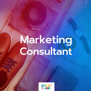 Marketing Consultant - The Social Media Package by Springboard Solutions
